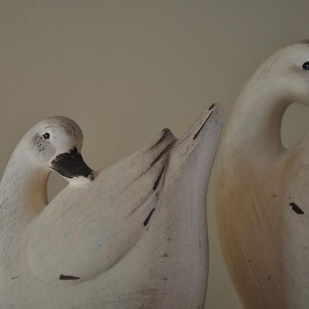 B&B Knotwilgenhoeve Knokke-Heist Dış mekan fotoğraf