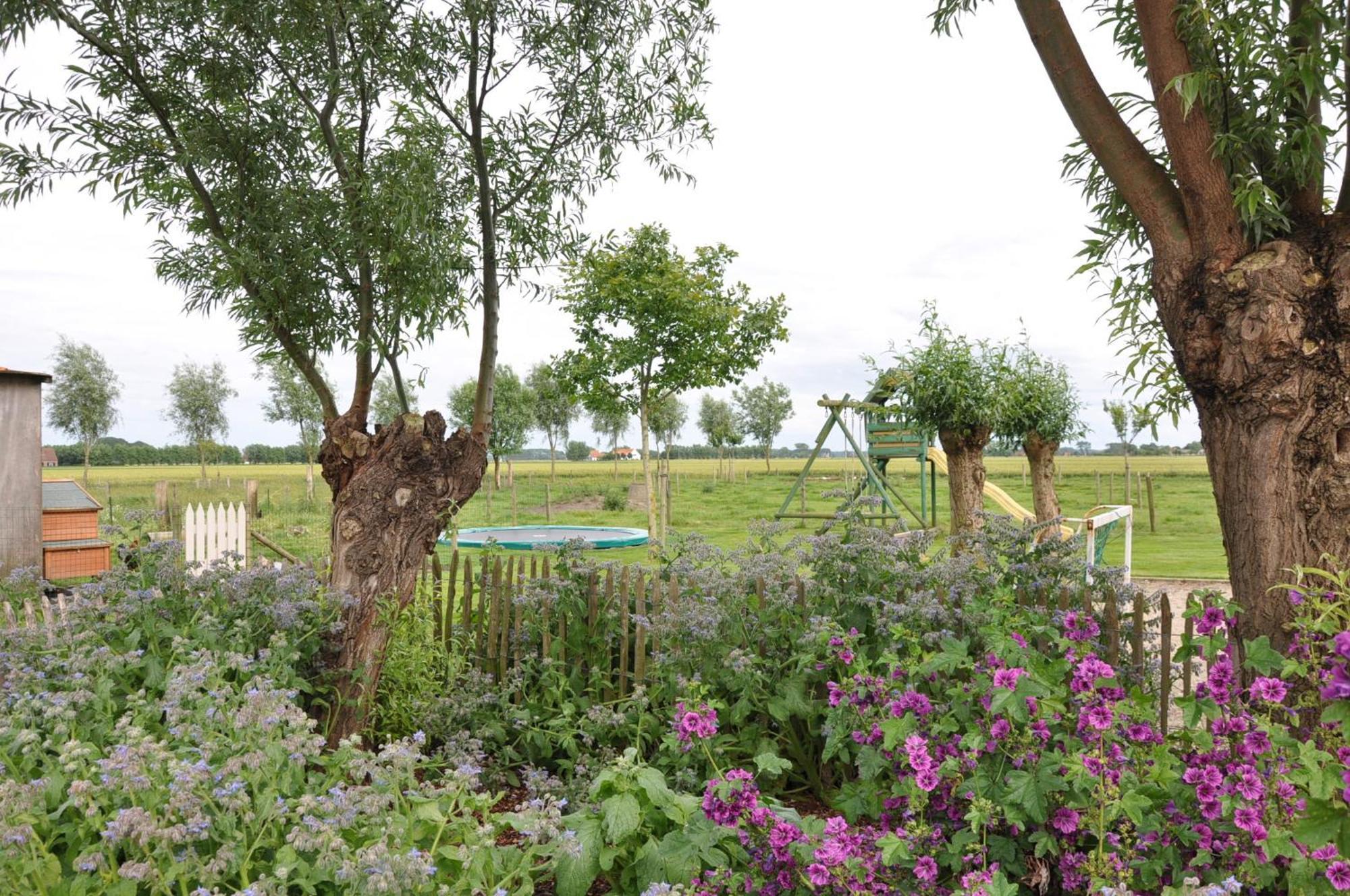 B&B Knotwilgenhoeve Knokke-Heist Dış mekan fotoğraf